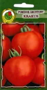 Nasiona pomidor Krakus 1g