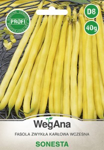 Nasiona Fasola zwykła karłowa wczesna Sonesta 40g 