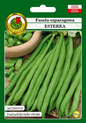 Fasola szparag. zielona karłowa ESTERKA 50g