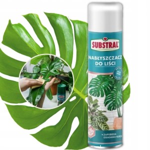 Nabłyszczacz do liści Substral 600 ml aerozol organiczny